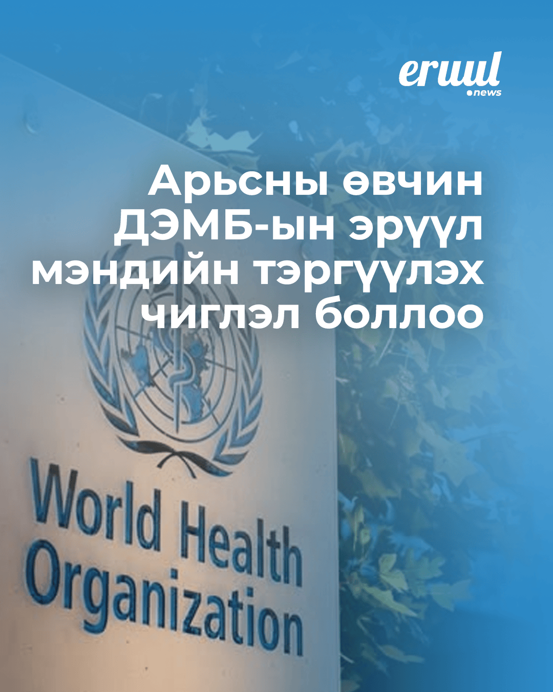 Арьсны өвчнийг дэлхийн нийтийн эрүүл мэндийн тэргүүлэх чиглэлд багтаалаа