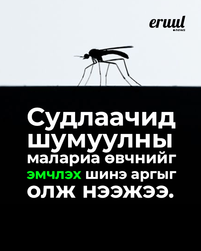 Судлаачид шумуулны малариа өвчнийг эмчлэх шинэ аргыг олж нээжээ. 